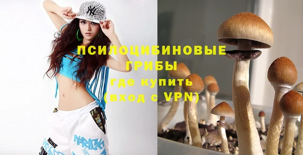 ALPHA-PVP Армянск
