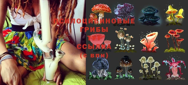 прущая мука Арсеньев