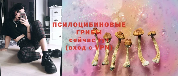 ALPHA-PVP Армянск